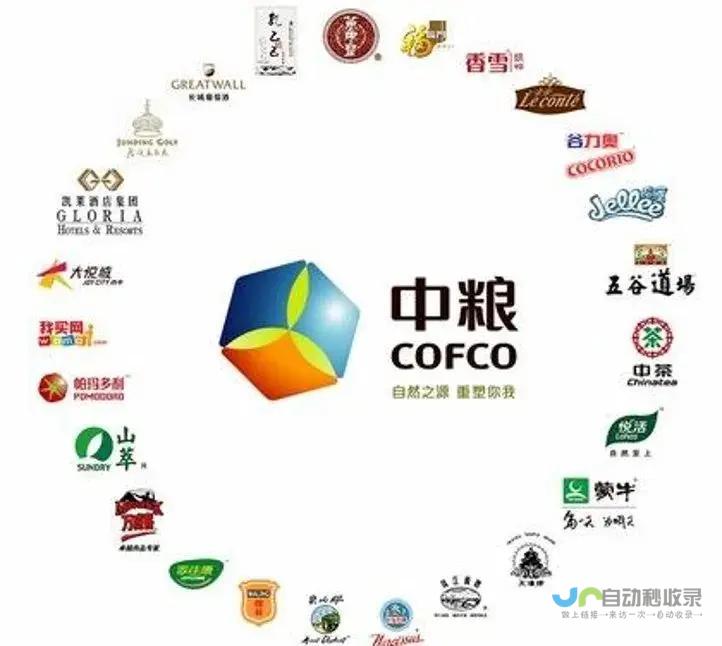 打造企业品牌形象，提升线上价值：您的企业专属数字平台建设方案