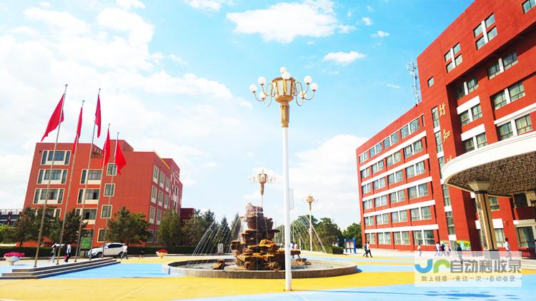 酒泉专业网站建设服务：助力企业拓展市场，实现线上突破