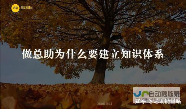 轻松构建你的专属网站：全方位网站建设系统