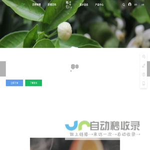 中国脐橙之乡,秭归脐橙之乡,秭归脐橙,脐橙,橙子 -  脐橙